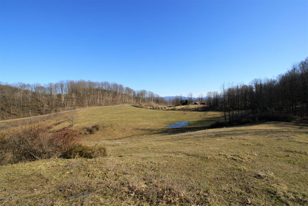 Braymer's Mountain Farm Field View